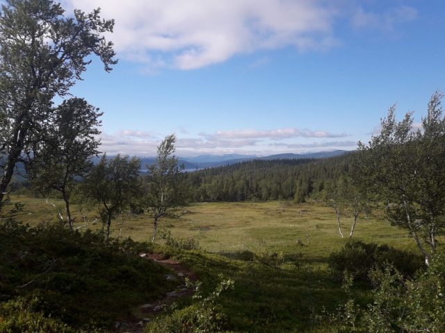 Klimpfjäll – Ankarede – Gäddede | Schweden
