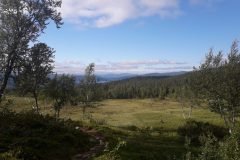 Klimpfjäll – Ankarede – Gäddede | Schweden