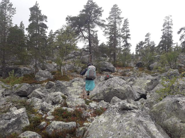 Åre – Fjällnäs – Grövelsjön | Wandern in Schweden