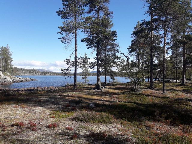 Åre – Fjällnäs – Grövelsjön | Wandern in Schweden
