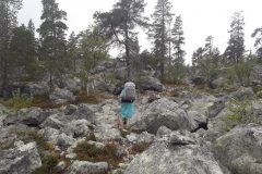 Åre – Fjällnäs – Grövelsjön | Wandern in Schweden