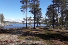 Åre – Fjällnäs – Grövelsjön | Wandern in Schweden