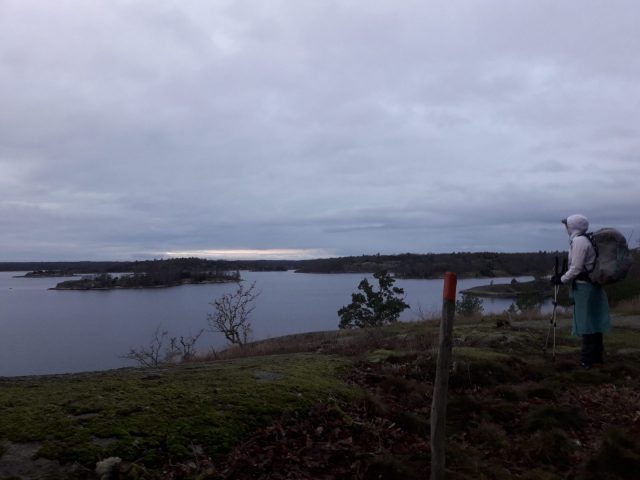 20210104_153712-scaled