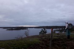 20210104_153712-scaled