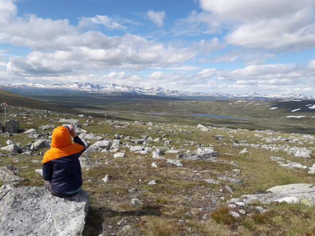Jäckvik – Ammarnäs – Hemavan  | Schweden