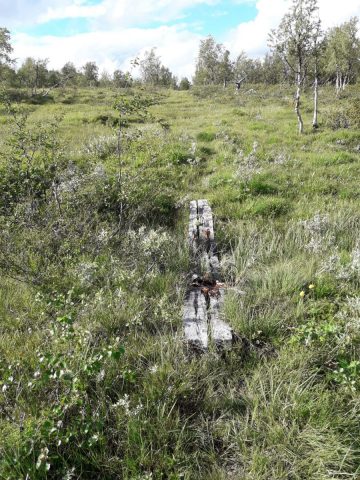 Hemavan - Klimpfjäll | Schweden