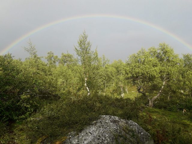 Hemavan - Klimpfjäll | Schweden