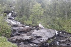 Hemavan - Klimpfjäll | Schweden