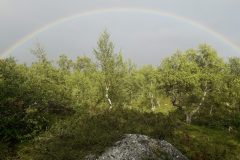 Hemavan - Klimpfjäll | Schweden