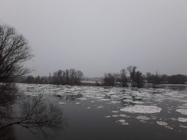 20210208_080841-scaled