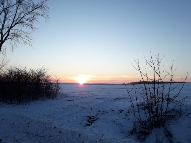 20210214_170631-scaled