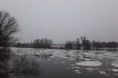 20210208_080841-scaled