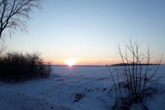 20210214_170631-scaled