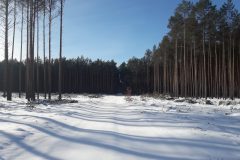 20210215_102912-scaled