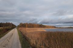 20201017_172305-scaled