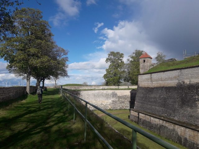 20210517_180635-3-scaled