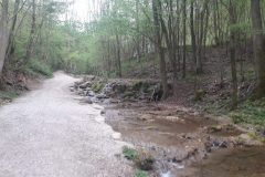20210510_191300-3-scaled