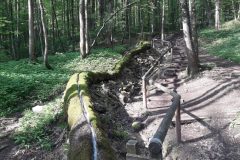 20210519_092145-2-scaled