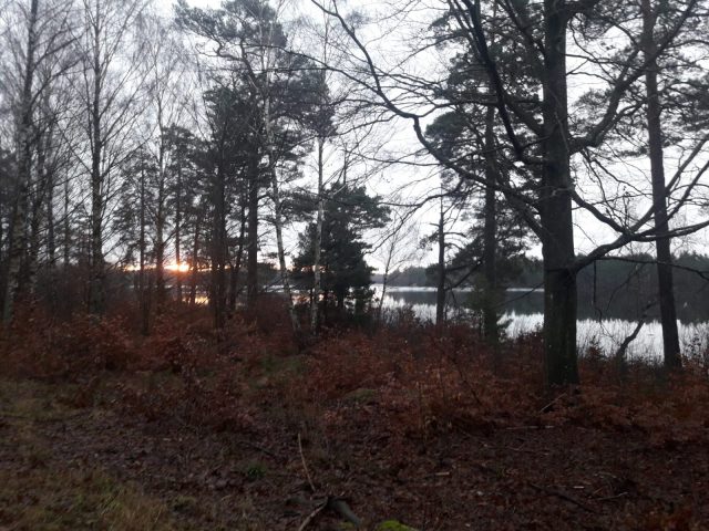 20210102_085114-scaled