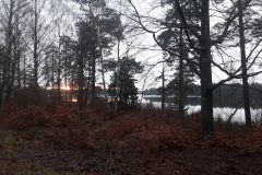 20210102_085114-scaled