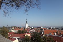 20201002_124940-scaled