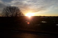 20210121_155710-scaled