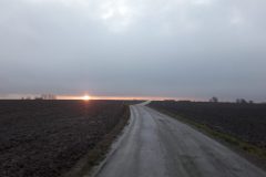 20210125_082859-scaled