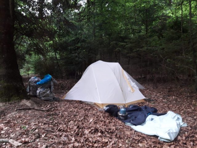 20210620_074511-scaled