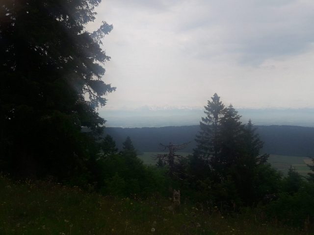 20210627_133758-scaled