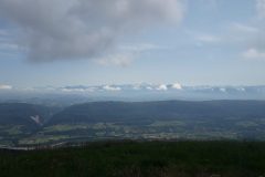 20210710_113717-scaled